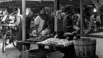 Pasar Tsukiji, juga di tahun 1955. Foto: Getty Images