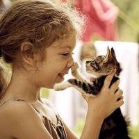 Kucing termasuk hewan yang setia. Dengan konsisten menunjukkan kasih sayang padanya, hewan tersebut akan menunjukkan kesetiaannya dan rasa sayangnya pada sang pemilik. Foto: Dok. Boredpanda