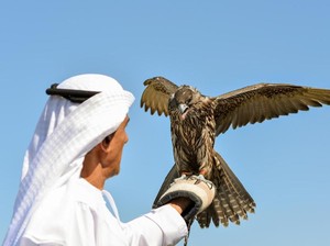 Burung dalam Peradaban Islam Diperlakukan Baik oleh Para Khalifah