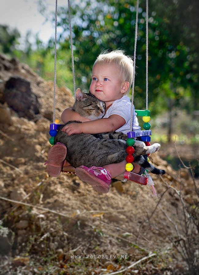 Kucing bisa menjadi teman anak-anak dan deretan foto berikut membuktikannya. Asalkan kucing dan tempat hidupnya atau kandangnya sering dibersihkan, kemungkinan kecil anak terkena infeksi toksoplasma. Foto: Dok. Boredpanda