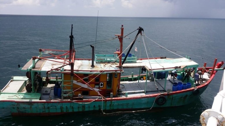 4300 Koleksi Gambar Ikan Hiu Di Perahu Gratis Terbaik