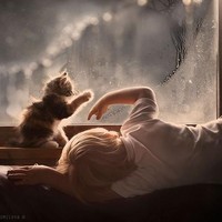 Animal Planet mengungkapkan kucing termasuk hewan yang cerdas. Kucing memiliki memori yang luar biasa. Kucing juga cepat belajar melalui observasi dari apa yang mereka lihat. Foto: Dok. Boredpanda