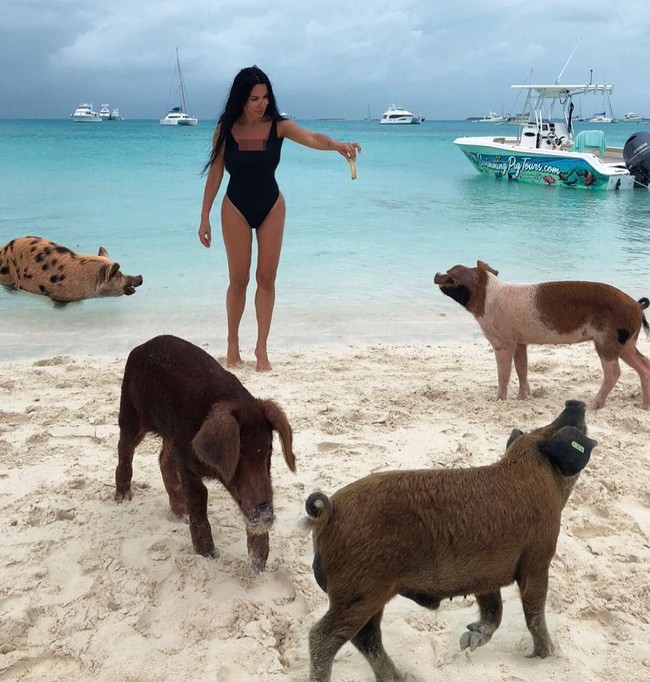 Netizen menghujat Sofia karena dia memberikan minuman yang cukup keras untuk binatang. Di momen lainnya, Sofia pun memberikan makanan mewah kefir untuk si babi.  Foto: Instagram @sofiasaravda