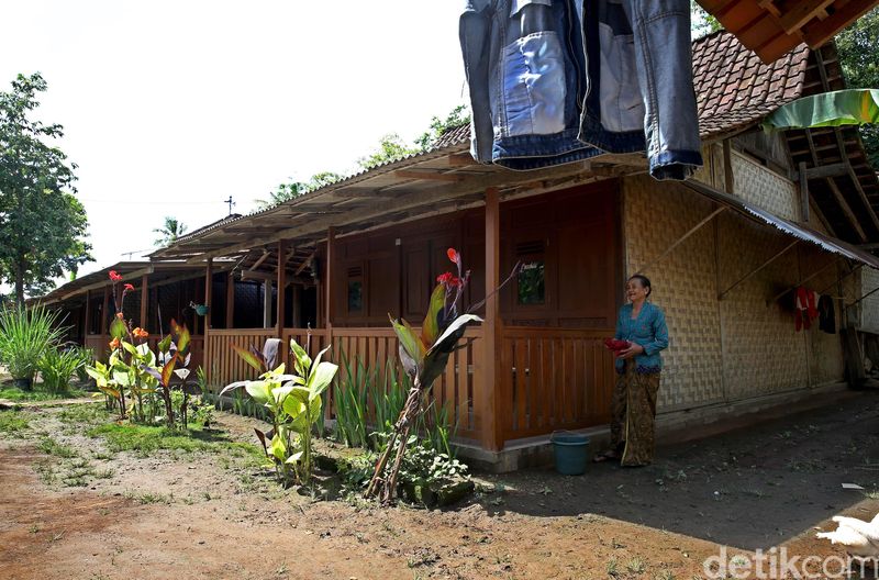 104 Gambar Rumah Adat Suku Osing Gratis