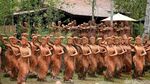 Taman Gandrung Terakota Ikut Popular gegara Film KKN di Desa Penari