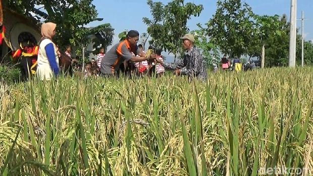 tradisi Metik di Ponorogo