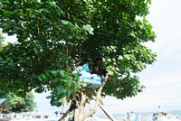 Rumah Pohon Ala Anak-anak Lombok, Bukti Bahagia Itu Sederhana