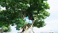 Pemandangan menarik ini bisa kamu temukan di Pelabuhan Tanjung Luar, Lomok Timur. (Syanti/detikcom)