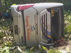 Gagal Nyalip Lalu Tabrak Pohon, Bus Sugeng Rahayu Terguling di Ngawi