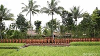 Biasanya pertunjukan tari Gandrung dimulai sekitar pukul 21.00 dan berakhir hingga menjelang subuh sekitar pukul 04.00 WIB. Nyaris semalam suntuk. (Rachman Haryanto/detikcom)