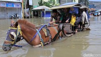 Meski banjir, sejumlah warga juga tetap beraktivitas seperti biasa untuk bekerja maupun sekolah. Delman pun menjadi transportasi alternatif bagi warga untuk menjangkau tempat kerja dan sekolah yang terendam banjir.