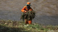 Menurut petugas di Kecamatan Duren Sawit hanya memiliki 4 mesin pemotong dan itu sudah sering rusak.
