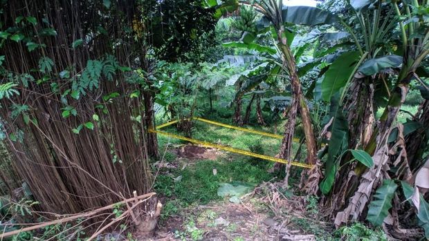 Mayat wanita hamil itu dikubur dan ditutupi daun pisang.