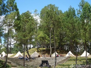 Melihat The Kaldera, Glamping dengan Panorama Spektakuler Danau Toba