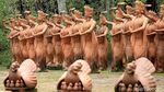 Taman Gandrung Terakota Ikut Popular gegara Film KKN di Desa Penari