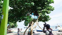 Sesekali mereka menyapa wisatawan yang lewat tak jauh dari pohon. (Syanti/detikcom)