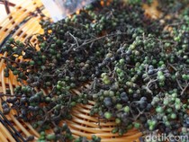 Andaliman atau Merica Batak, Bumbu Endemik Sumatra Utara Mirip Lada