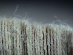 Wow! Foto Close-up Kece Ini Ternyata Objeknya Benda Sehari-hari