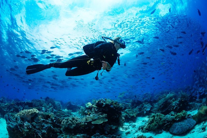 Diving di Raja Ampat