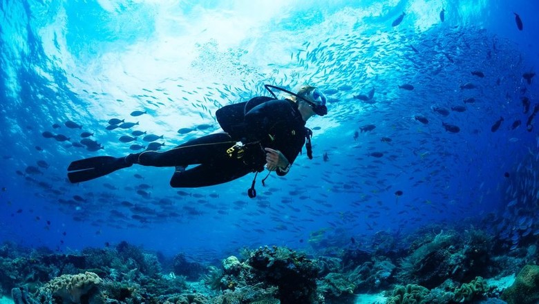 Foto: Ilustrasi (Shutterstock) Foto: Ilustrasi (Shutterstock)