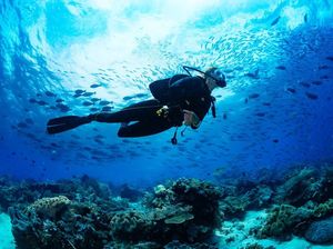Dilarang Jomblo dan Hal Lain yang Harus Kamu Tahu Saat Diving