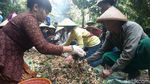 Aksi Bakar Ayam dalam Perayaan Wangan Cenginging di Semarang