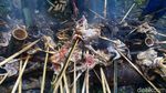 Aksi Bakar Ayam dalam Perayaan Wangan Cenginging di Semarang