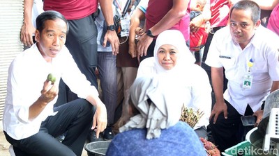 Ekspresi Jokowi Saat Belanja Kedondong di Probolinggo