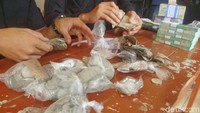 Sementara menurut Kapala Kantor Bank Indonesia Purwokerto, Agus Chusaini mengatakan jika tujuan Bank Indonesia dalam kegiatan di Kampung Laut ini untuk dapat menarik uang lusuh dan uang rusak yang beredar dimasyarakat.