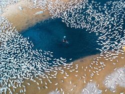 Kumpulan Foto Menyeramkan yang Diambil Pakai Drone