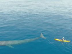 Kumpulan Foto Menyeramkan yang Diambil Pakai Drone