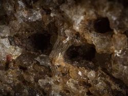 Wow! Foto Close-up Kece Ini Ternyata Objeknya Benda Sehari-hari