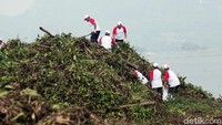 Para karyawan Perum Jasa Tirta II bergotong-royong membersihkan Waduk Jatiluhur dari eceng gondok dan sampah.
