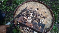 Seorang warga memotong-motong ayam bakar.