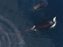 Kumpulan Foto Menyeramkan yang Diambil Pakai Drone