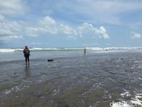 82 Surfer Adu Ketangkasan di Parangtritis Surfing National Competition