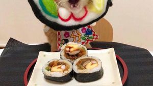 Gemasnya 8 Kostum Kucing Lucu yang Mirip Makanan Aslinya