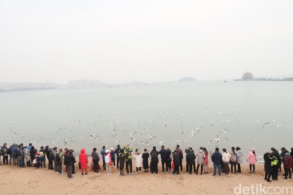 Banyak wisatawan yang datang untuk sekedar menikmati suasana pantai atau sekedar memotret burung camar. Jelas saja, pantai menjadi barang mahal di daratan China. (Bonauli/detikcom)