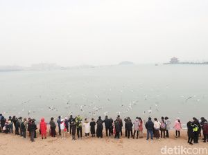 Turis China Ketiduran di Pantai, eh Hampir Tenggelam karena Laut Pasang