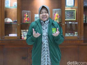 Viral Ajakan Bonek Nonton ke Malang, Risma: Jangan Pergi Sayang
