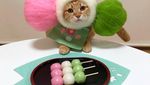 Gemasnya 8 Kostum Kucing Lucu yang Mirip Makanan Aslinya