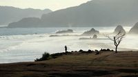 5 Tempat Wisata di Lombok, Indonesia Yang Wajib Dikunjungi