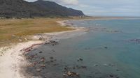 Pulau Mocha di Chile (BBC Travle)