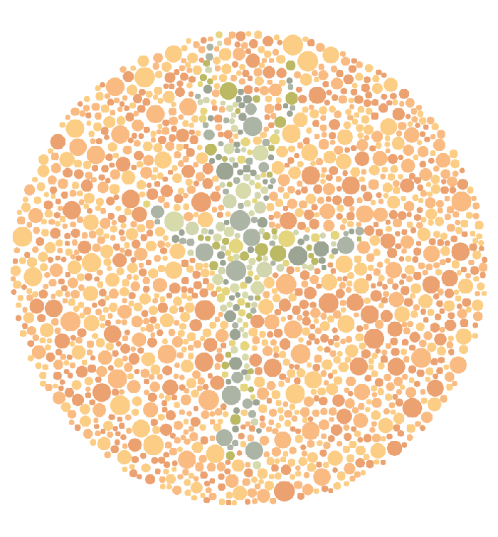 Tes Buta Warna, Bisakah Kamu Menemukan Kegiatan Seru di