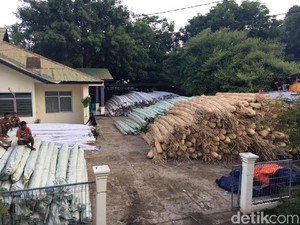 Penyelundupan 104 Ton Rotan Rp 1,8 M ke Timor Leste Digagalkan