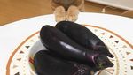 Gemasnya 8 Kostum Kucing Lucu yang Mirip Makanan Aslinya