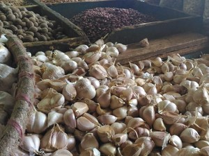 Izin Impor 90.000 Ton Bawang Putih Segera Terbit