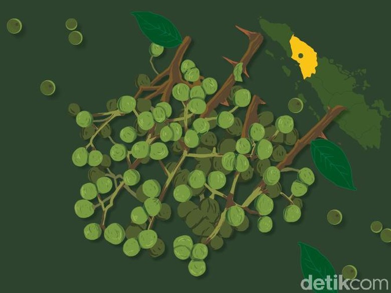 Andaliman, Rempah Batak yang Melegenda Andaliman, Rempah Batak yang Melegenda