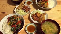 Hidangan tumis daging dengan paprika, gyoza, hingga sup miso dan nasi putih hangat jadi salah satu menu favorit dua kucing ini. Foto: Istimewa