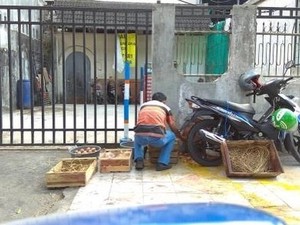 Kasihan! Driver Ojol Ini Tak Sengaja Jatuhkan Beberapa Peti Telur Ayam